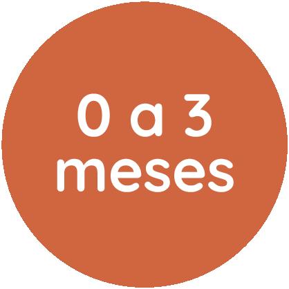 0 até 3 Meses
