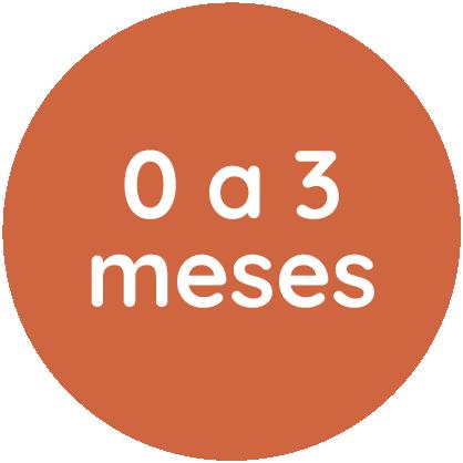 0 até 3 Meses